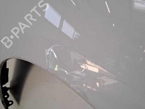 Right front fenders RENAULT SCÉNIC III (JZ0/1_) 1.5 dCi | BP29268566C42 