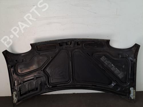 Hood RENAULT TWINGO I (C06_) 1.2 (C066, C068) | BP29513652C1 
