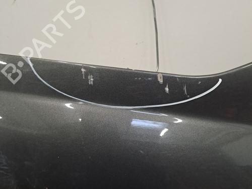Left front fenders CITROËN C4 II (NC_) 1.6 HDi 115 | BP28390251C41 