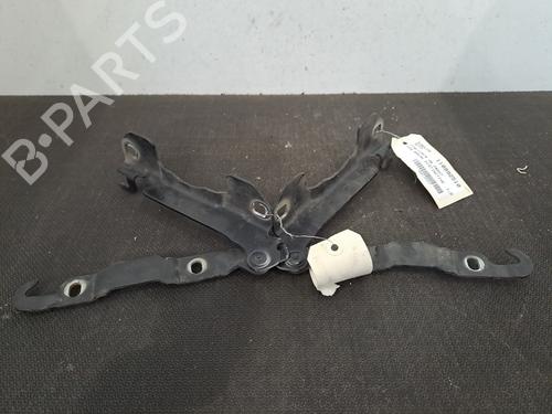 Hinge/Door check strap ALFA ROMEO 159 Sportwagon (939_) 1.9 JTDM 8V (939AXH1B, 939BXH1B) | BP29434863C146 