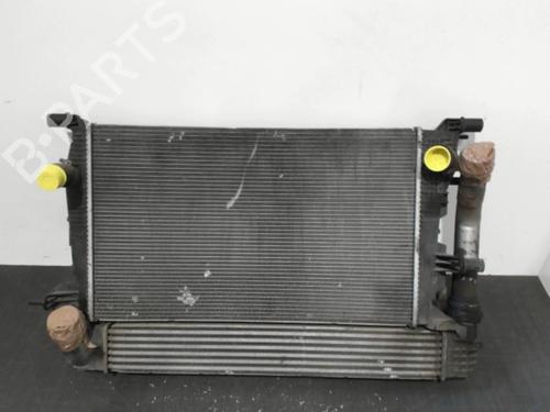 Used Water radiator RENAULT SCÉNIC III (JZ0/1_) 1.5 dCi (106 hp) 28394354