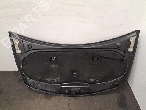 Hood RENAULT CLIO III (BR0/1, CR0/1) 1.5 dCi (BR17, CR17) | BP28390305C1 