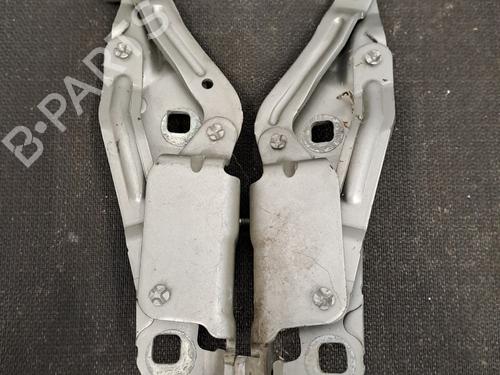 Hinge/Door check strap RENAULT GRAND SCÉNIC II (JM0/1_) 1.9 dCi (JM14) | BP28397463C146 