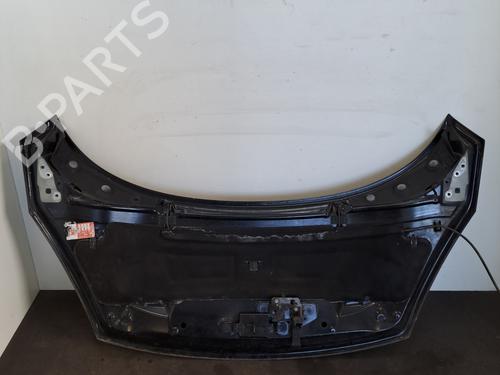 Hood RENAULT SCÉNIC III (JZ0/1_) 1.5 dCi | BP28389858C1