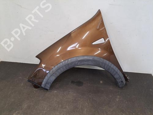 Left front fenders DACIA SANDERO 1.5 dCi | BP28396619C41 
