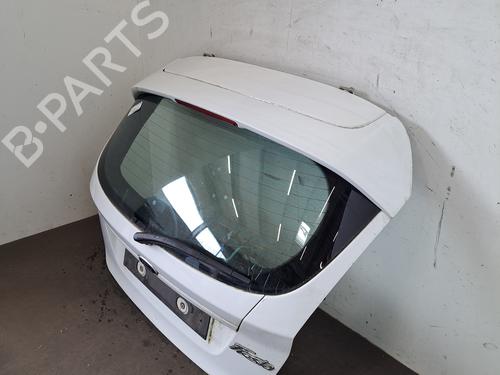 Used Tailgate Tailgate FORD FIESTA VI (CB1, CCN) 1.4 TDCi (70 hp) 36008956 36008956