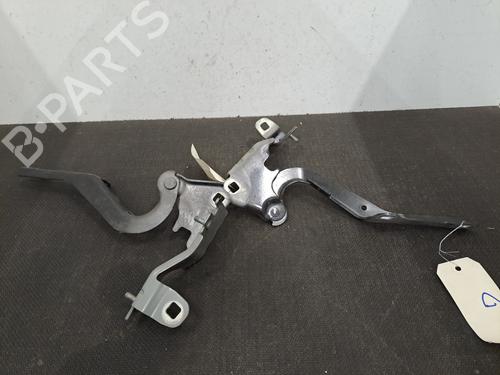 Hinge/Door check strap RENAULT LAGUNA III Grandtour (KT0/1) 2.0 dCi (KT07, KT0J, KT14, KT1A, KT1S) | BP29434882C146 