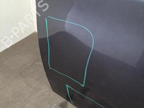 Left front door BMW 3 (E90) 318 d | BP28391049C2 