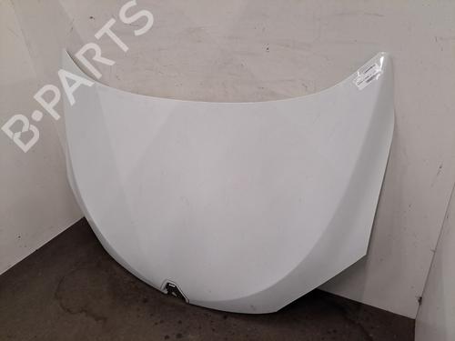 hood-renault-megane-iii-hatchback-bz01_-b3_-2008-32166241 main image