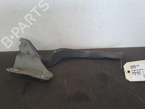 Used Hinge/Door check strap NISSAN QASHQAI I (J10, NJ10) 1.5 dCi (106 hp) 28389556
