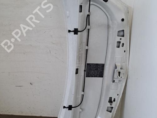 Panser Panser RENAULT KANGOO Express (FW0/1_) 1.5 dCi 85 (FW0K, FW0L, FW0B) (86 hp) 35802437 35802437