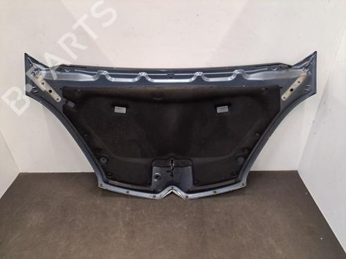 Hood CITROËN C4 Grand Picasso I (UA_) 2.0 i 16V | BP28403828C1 