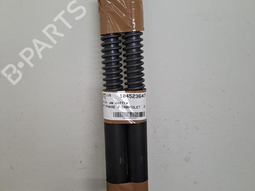 Used Tailgate lift support PEUGEOT 307 CC (3B) 2.0 HDi 135 (136 hp) 28389866