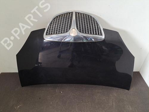 Used Hood LANCIA MUSA (350_) 1.3 D Multijet (350.AXB11, 350.AXB1A) (70 hp) 28408109