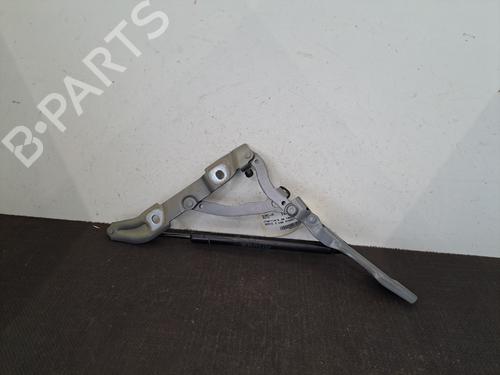 Hinge/Door check strap BMW 3 (E90) 316 d | BP28392166C146 