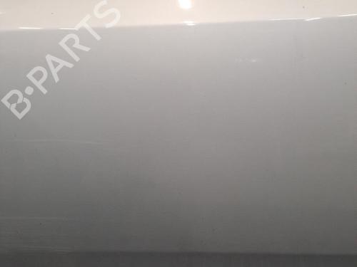 Left front door FIAT PUNTO (199_) 1.3 D Multijet | BP28407688C2