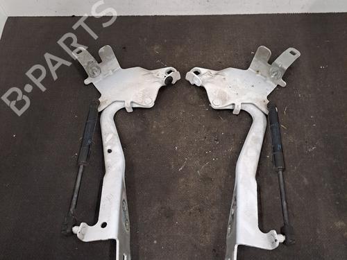 Used Hinge/Door check strap RENAULT SCÉNIC III (JZ0/1_) 1.5 dCi (110 hp) 29983084