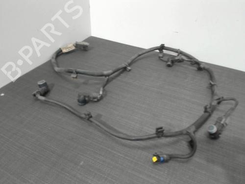 Elektronisk modul CITROËN C4 Picasso I MPV (UD_) 1.6 HDi (109 hp) 28411122