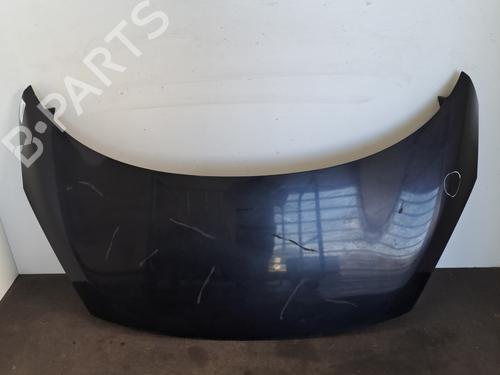 Used Hood RENAULT SCÉNIC III (JZ0/1_) 1.5 dCi (110 hp) 28389858