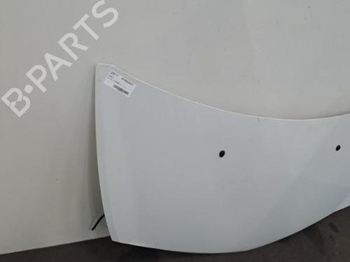 Hood RENAULT CLIO III (BR0/1, CR0/1) 1.2 16V Hi-Flex (BR1U, CR1U) | BP28393234C1 