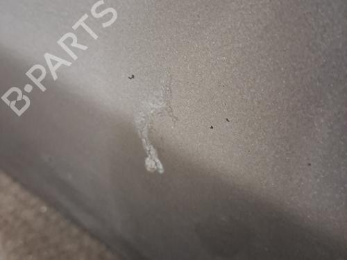 Right front door VW POLO IV (9N_, 9A_) 1.4 TDI | BP29990392C3