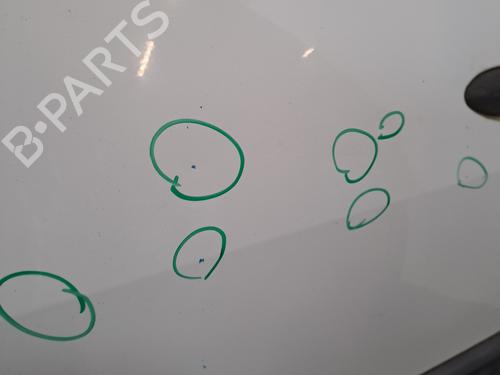 Left front door RENAULT MEGANE II (BM0/1_, CM0/1_) 1.5 dCi (BM1E, CM1E) | BP28389404C2