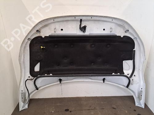 Hood LAND ROVER RANGE ROVER EVOQUE (L538) 2.0 D 4x4 | BP29749257C1