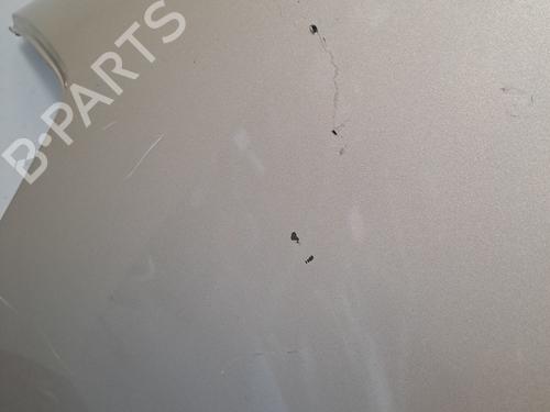 Left front fenders RENAULT CLIO III (BR0/1, CR0/1) 1.2 16V (BR02, BR0J, BR11, CR02, CR0J, CR11) | BP28406090C41