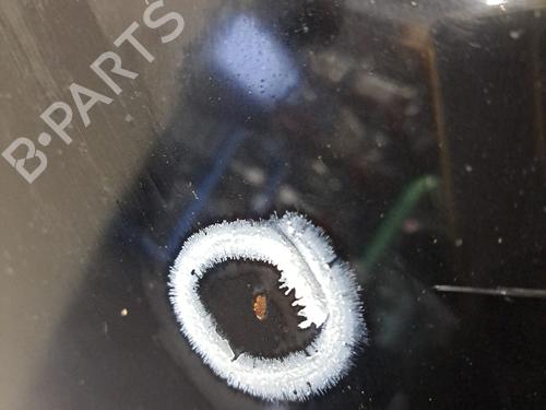 Hood LAND ROVER RANGE ROVER II (P38A) 4.6 4x4 | BP30127293C1