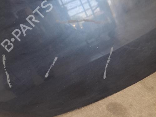 Hood RENAULT SCÉNIC III (JZ0/1_) 1.5 dCi | BP28389858C1