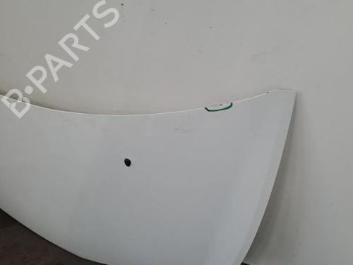 Hood RENAULT CLIO III (BR0/1, CR0/1) 1.2 16V Hi-Flex (BR1U, CR1U) | BP28393234C1 