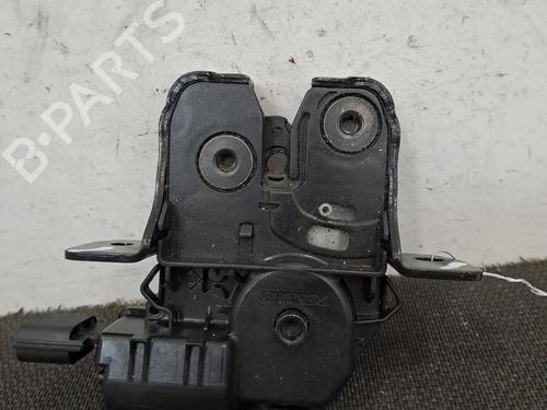 Tailgate lock RENAULT SCÉNIC III (JZ0/1_) 1.5 dCi | BP29164687C101 