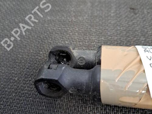 Tailgate lift support RENAULT CLIO IV (BH_) 1.5 dCi 75 | BP28401734C138 