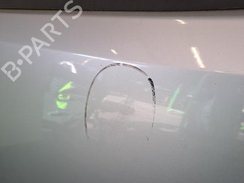 Left front door CITROËN BERLINGO MULTISPACE (B9) 1.6 HDi 90 | BP29256784C2 