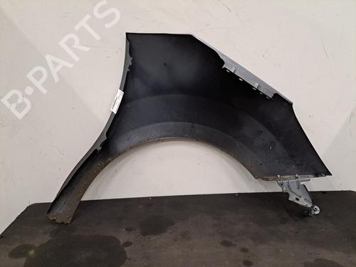 Left front fenders CITROËN C3 II (SC_) 1.4 HDi 70 (SC8HZC, SC8HR0, SC8HP4) | BP32323077C41