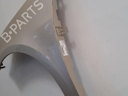 Left front fenders RENAULT CLIO III (BR0/1, CR0/1) 1.2 16V (BR02, BR0J, BR11, CR02, CR0J, CR11) | BP28406090C41