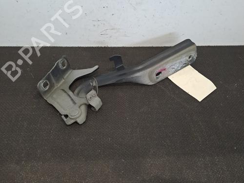 hingedoor-check-strap-nissan-juke-f15-2010-2011-2012-2013-2014-2015-2016-2017-2018-2019-28395886 main image