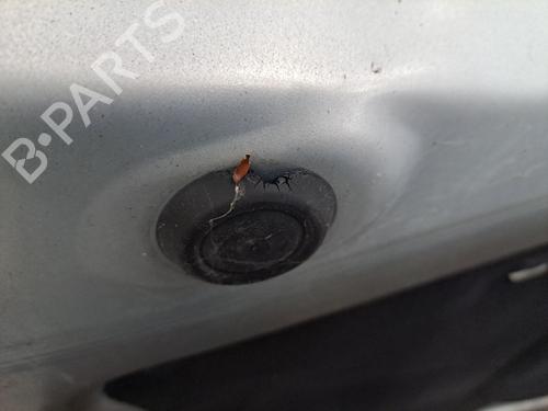 Hood RENAULT VEL SATIS (BJ0_) 2.2 dCi (BJ0E, BJ0F) | BP28409287C1 