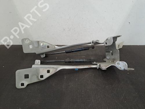 Hinge/Door check strap RENAULT SCÉNIC III (JZ0/1_) 1.6 dCi (JZ00, JZ12) | BP29326819C146 