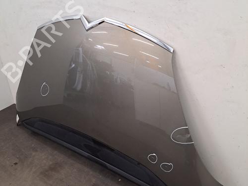 Hood CITROËN C4 Grand Picasso I (UA_) 2.0 HDi 150 | BP28406947C1