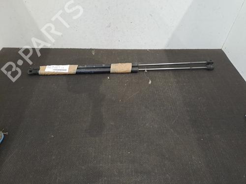 Used Tailgate lift support FORD C-MAX II (DXA/CB7, DXA/CEU) 1.6 TDCi (95 hp) 28397542