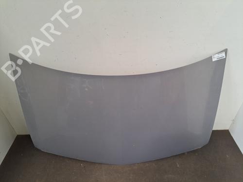 Used Hood RENAULT MEGANE II (BM0/1_, CM0/1_) 1.9 dCi (BM0G, CM0G) (120 hp) 28392201
