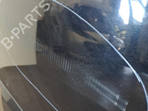 Left rear door RENAULT SCÉNIC III (JZ0/1_) 1.6 dCi (JZ00, JZ12) | BP28400784C4 