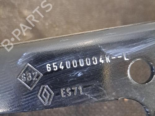 Hinge/Door check strap RENAULT SCÉNIC III (JZ0/1_) 1.5 dCi | BP29508273C146 