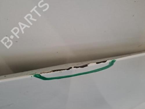Hood RENAULT CLIO III (BR0/1, CR0/1) 1.2 16V Hi-Flex (BR1U, CR1U) | BP28393234C1 