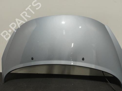 Used Hood PEUGEOT 207 (WA_, WC_) 1.6 HDi (92 hp) 28410635