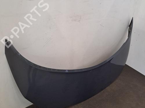Capot Capot RENAULT SCÉNIC II (JM0/1_) 1.6 16V (JM1R) (112 hp) 28398285 28398285