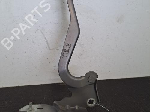 Hinge/Door check strap RENAULT LAGUNA III (BT0/1) 2.0 dCi (BT01, BT08, BT09, BT0E, BT0K, BT12, BT1C, BT1D,... | BP28390158C146 
