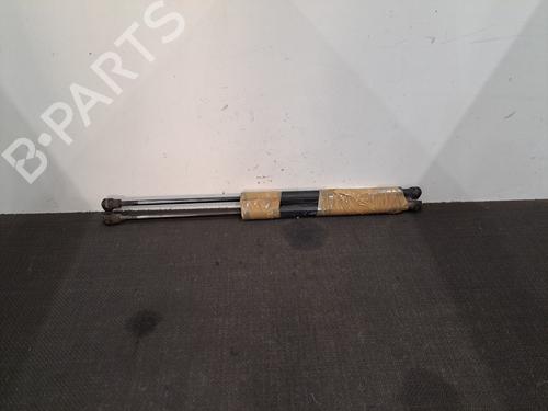 Tailgate lift support RENAULT CLIO IV (BH_) 1.5 dCi 75 | BP28392768C138 