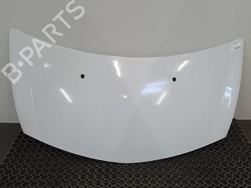 Used Hood RENAULT CLIO III (BR0/1, CR0/1) 1.5 dCi (C/BR0G, C/BR1G) (68 hp) 28398836